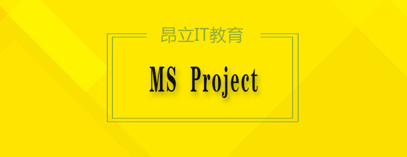 MSProject