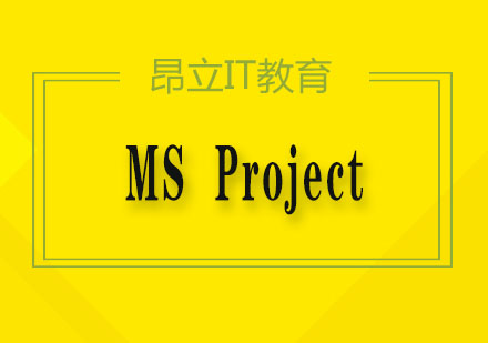 MSProject