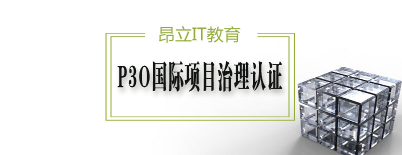 项目管理体系构建