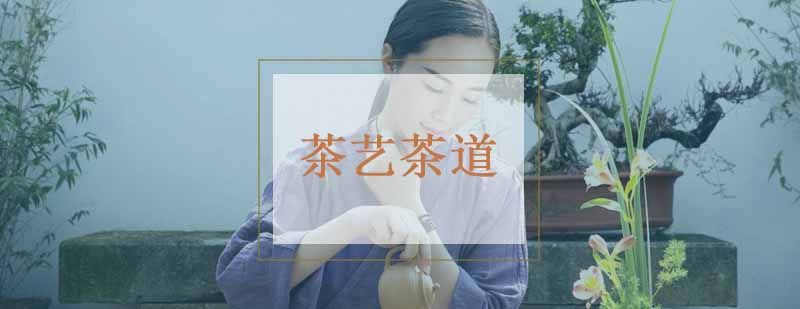 茶艺实训课堂