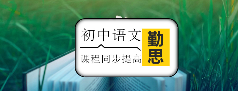 初中语文教学场景