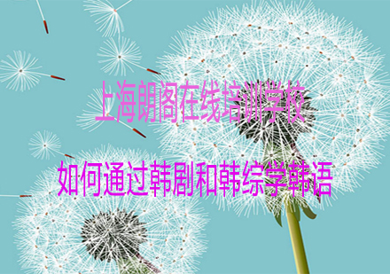 高效韩语学习指南：影视综艺实战技巧