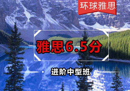 雅思6.5分进阶中型班