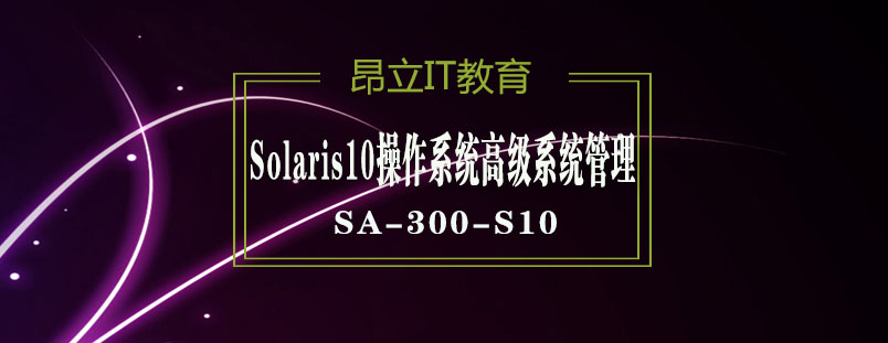 SA-300-S10网络架构图