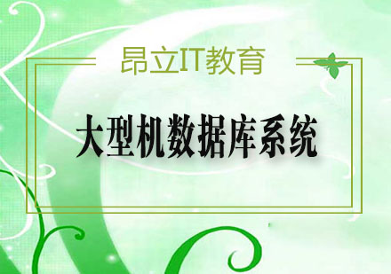 大型机数据库系统