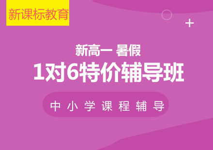 上海新高一暑假1对6特价辅导班