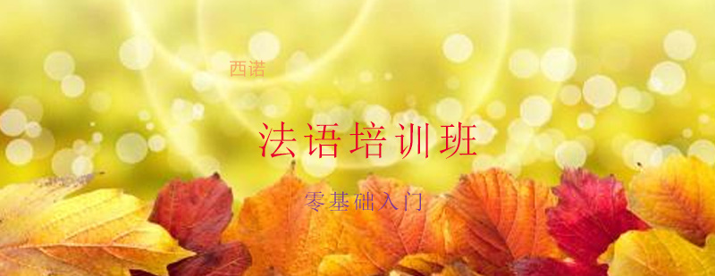 法语课堂实景