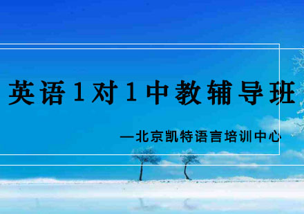 英语1对1中教辅导班