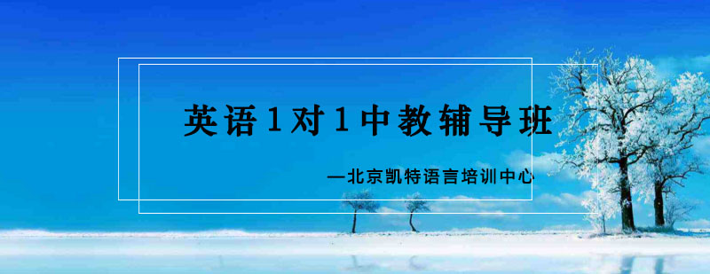 英语1对1中教辅导班