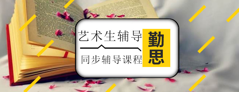 艺术生文化课辅导场景