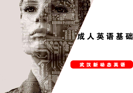 武汉新动态英语成人英语基础培训班