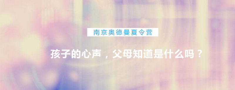素质拓展活动实景