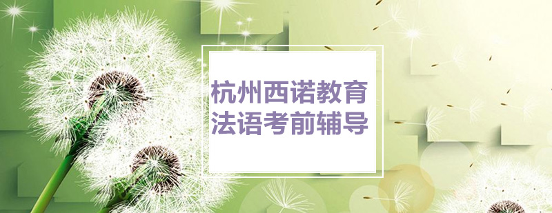 法语考试辅导