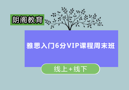 雅思入门6分VIP课程周末班