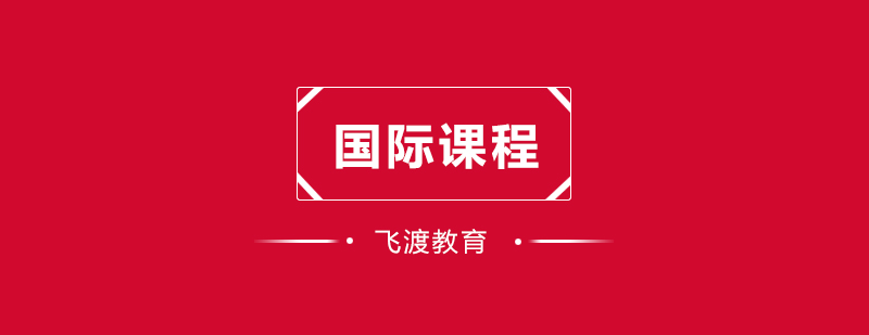 国际课程辅导