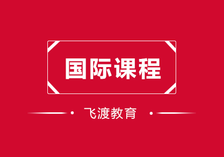武汉飞渡国际课程