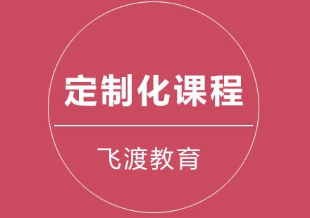 武汉飞渡定制化课程