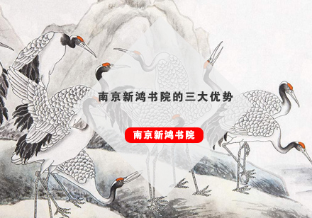 南京新鸿书院教学特色深度解析