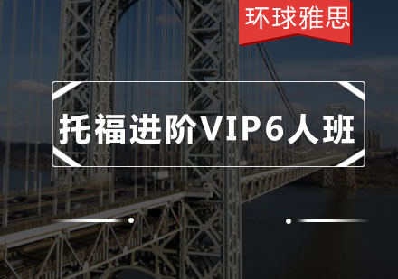 托福进阶VIP6人班