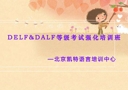 DELF&DALF等级考试强化培训班