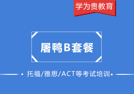 上海雅思VIP在線1對1：屠鴨B套餐