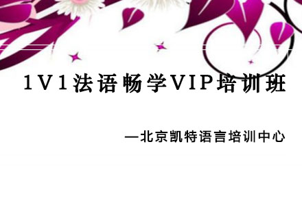 1V1法语畅学VIP培训班