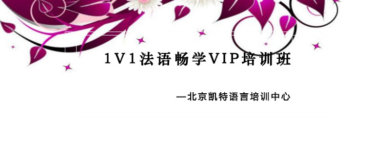 1V1法语畅学VIP培训班