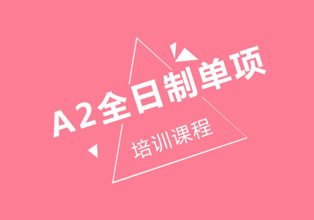 A2全日制单项培训课程