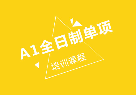 A1全日制单项培训课程
