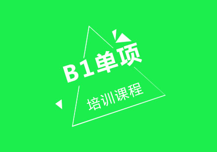 B1单项培训课程