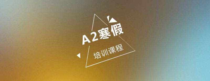 西班牙语寒假集训课堂