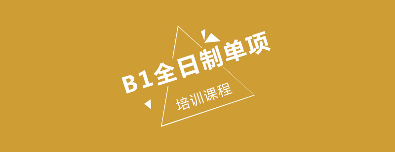 B1全日制单项培训课程