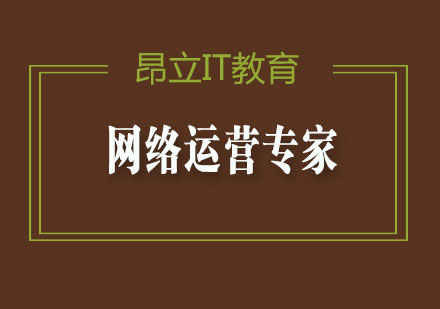 网络运营专家