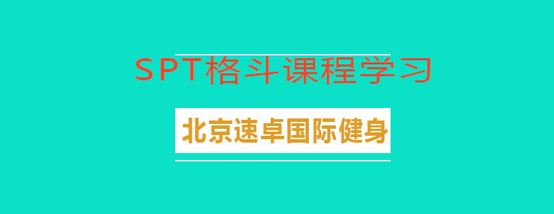 综合格斗训练