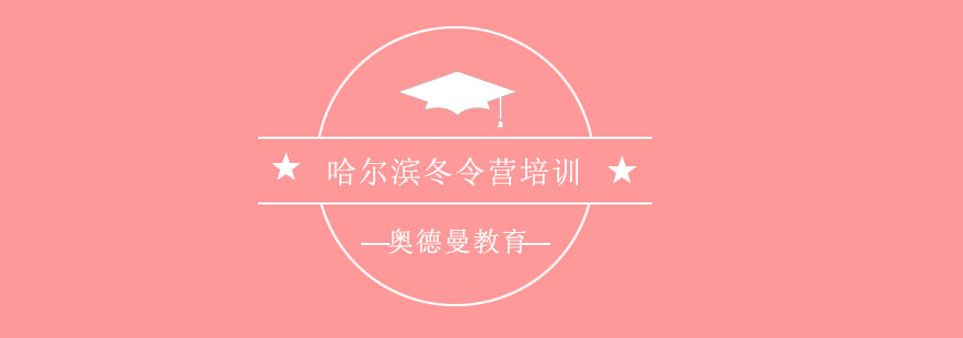 哈尔滨冬令营主视觉