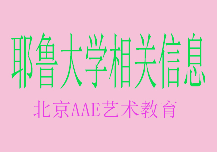 耶鲁大学音乐学院深度解析：课程体系与录取全指南
