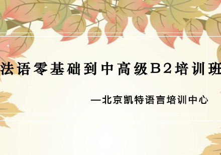 法语零基础到中高级B2培训班