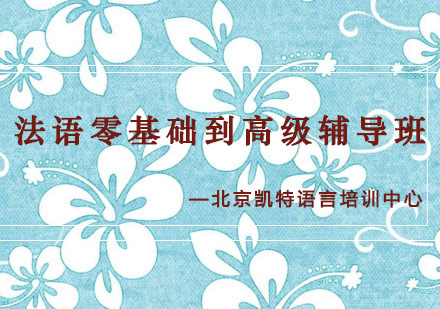 法语零基础到高级辅导班