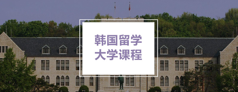 韩国大学课程体系