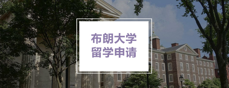 布朗大学校园全景