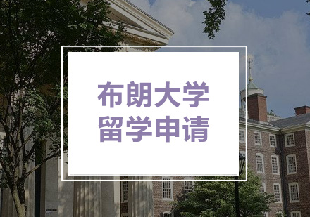 布朗大学留学申请