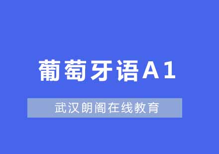 武汉朗阁速成葡萄牙语欧标A1辅导班