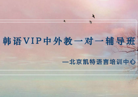 韩语VIP中外教一对一辅导班