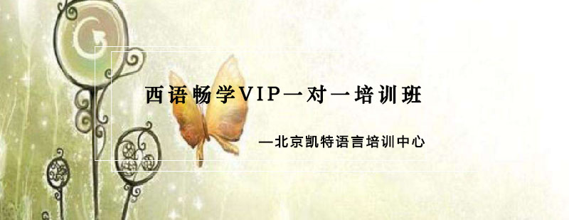 西语畅学VIP一对一培训班