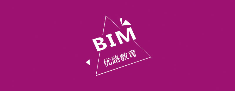 BIM