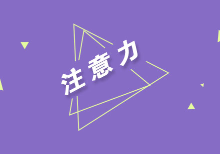 科学提升儿童专注力六大策略解析