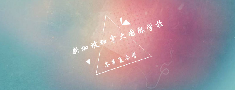 新加坡国际学校夏令营活动