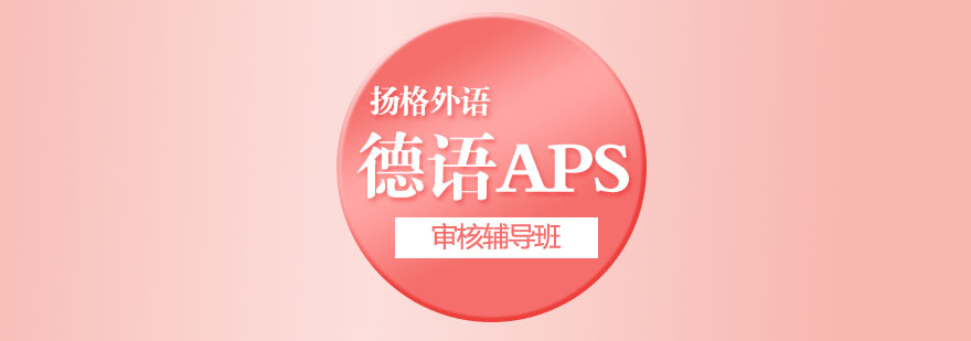 APS审核培训场景