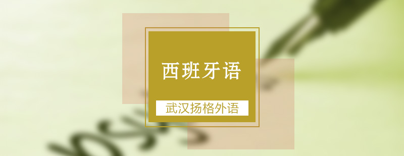 武汉西班牙语A1课程实景