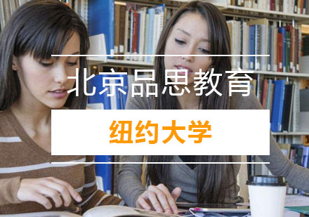 纽约大学